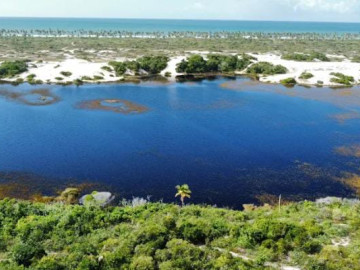 Terreno - Venda - Praia do Forte - Mata de So Joo - BA